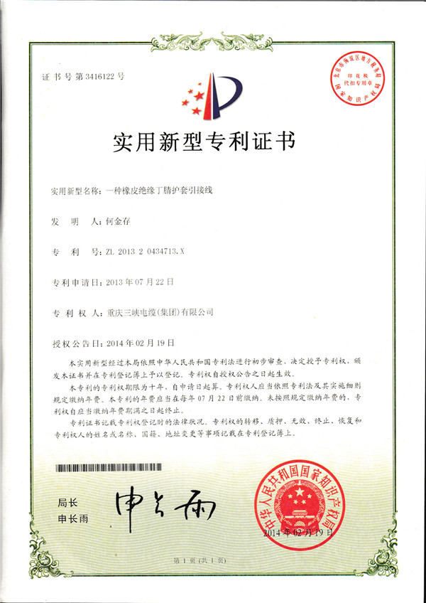 一種橡皮絕緣丁腈護(hù)套引接線.jpg
