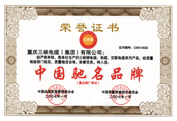 榮譽(yù)證書 1
