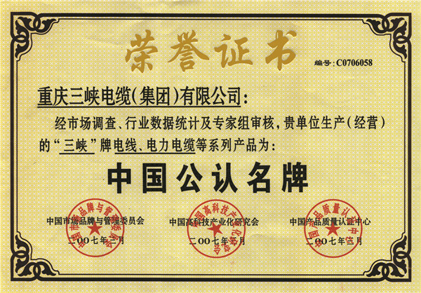 中國公認(rèn)名牌