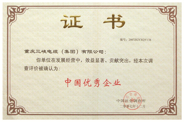 中國優(yōu)秀企業(yè)